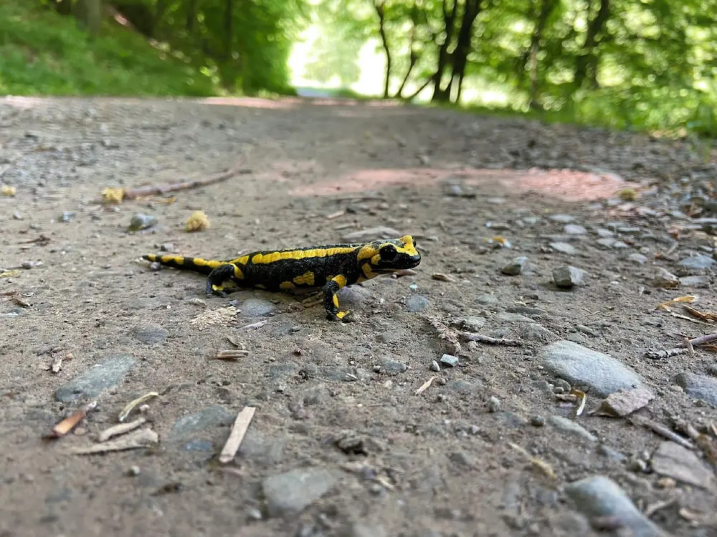 Living in the old Granary