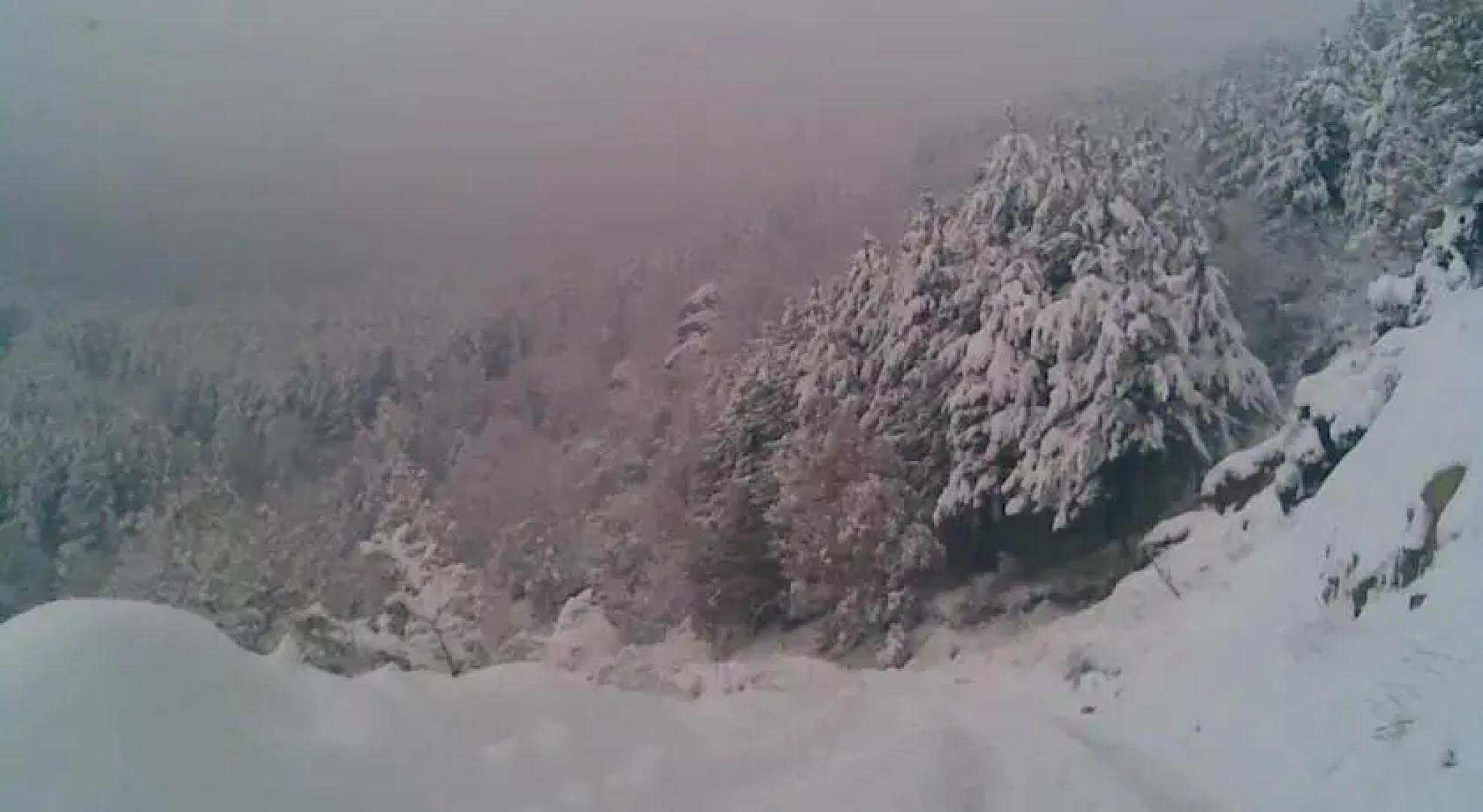 Yancheva Guest House