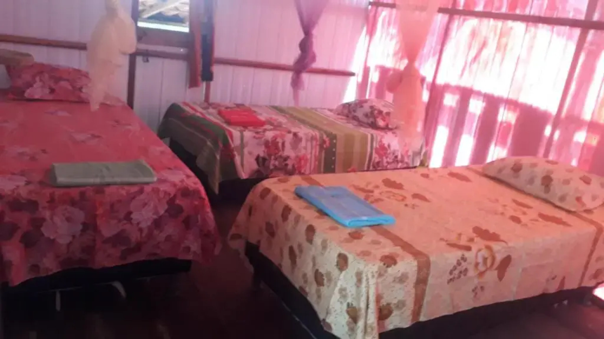 HOSPEDARIA PINGO de ouro