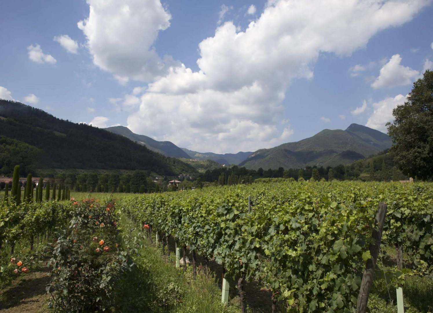 Podere Castel Merlo Resort