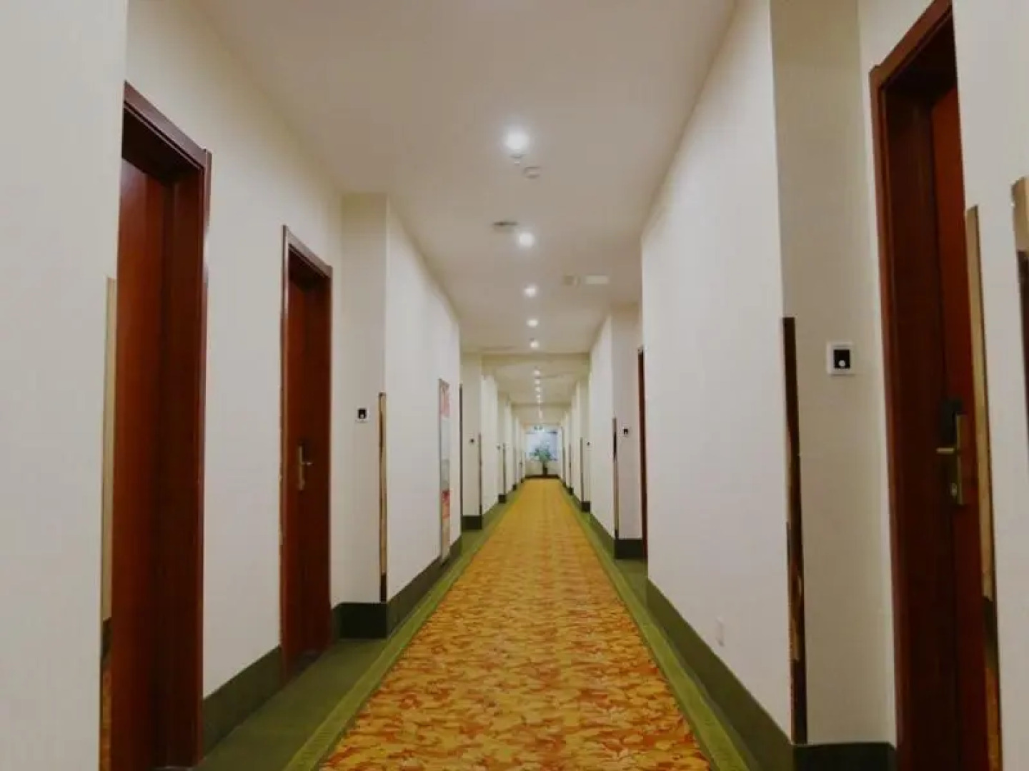 GreenTree Inn HeFei FeiDong County GuiWang Road LuZhou Medical School Hotel