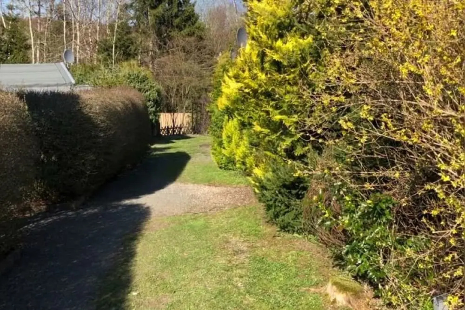 Holiday Home Near Harzgerode With Whirlpool