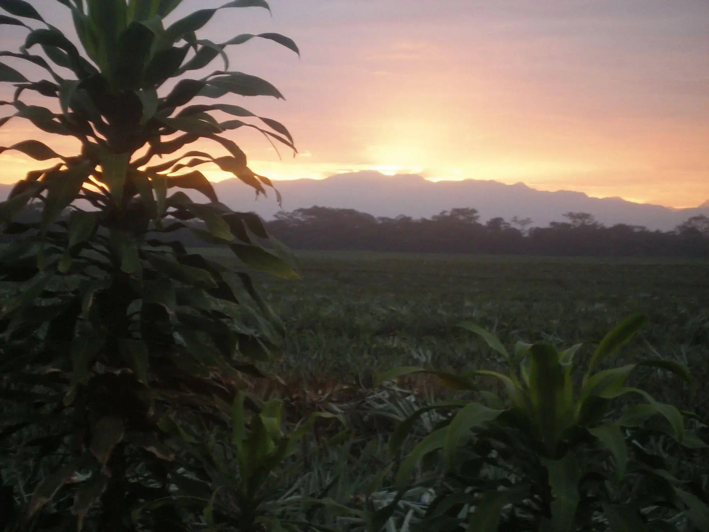Posada Turismo Rural San Juan