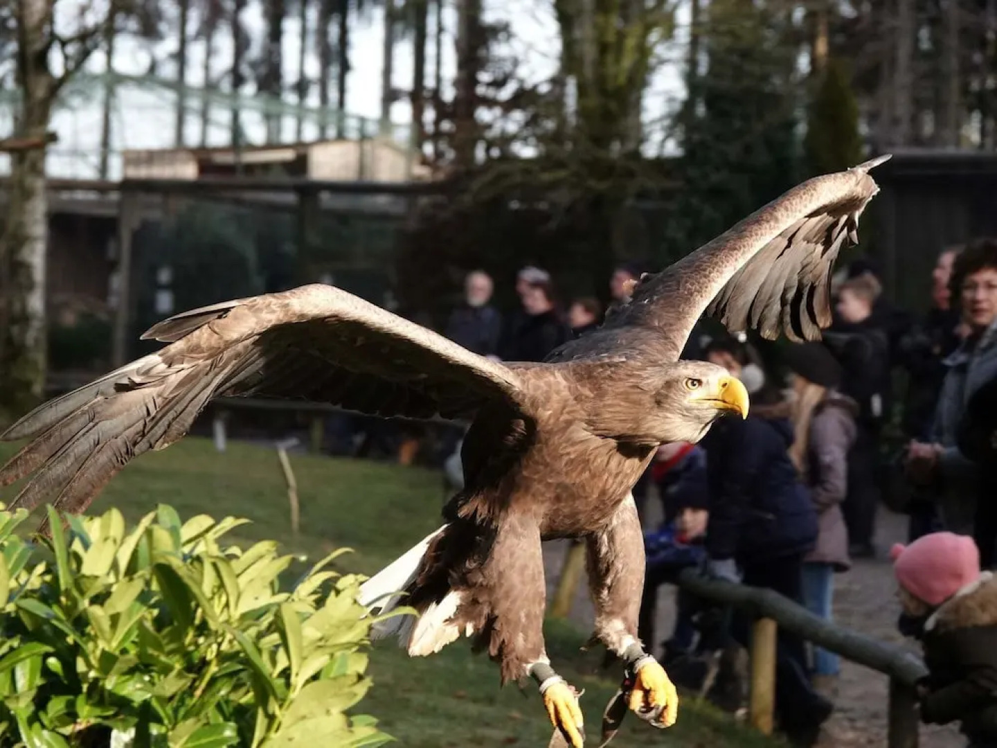 Beautiful Holiday Home in Sieberath With Garden