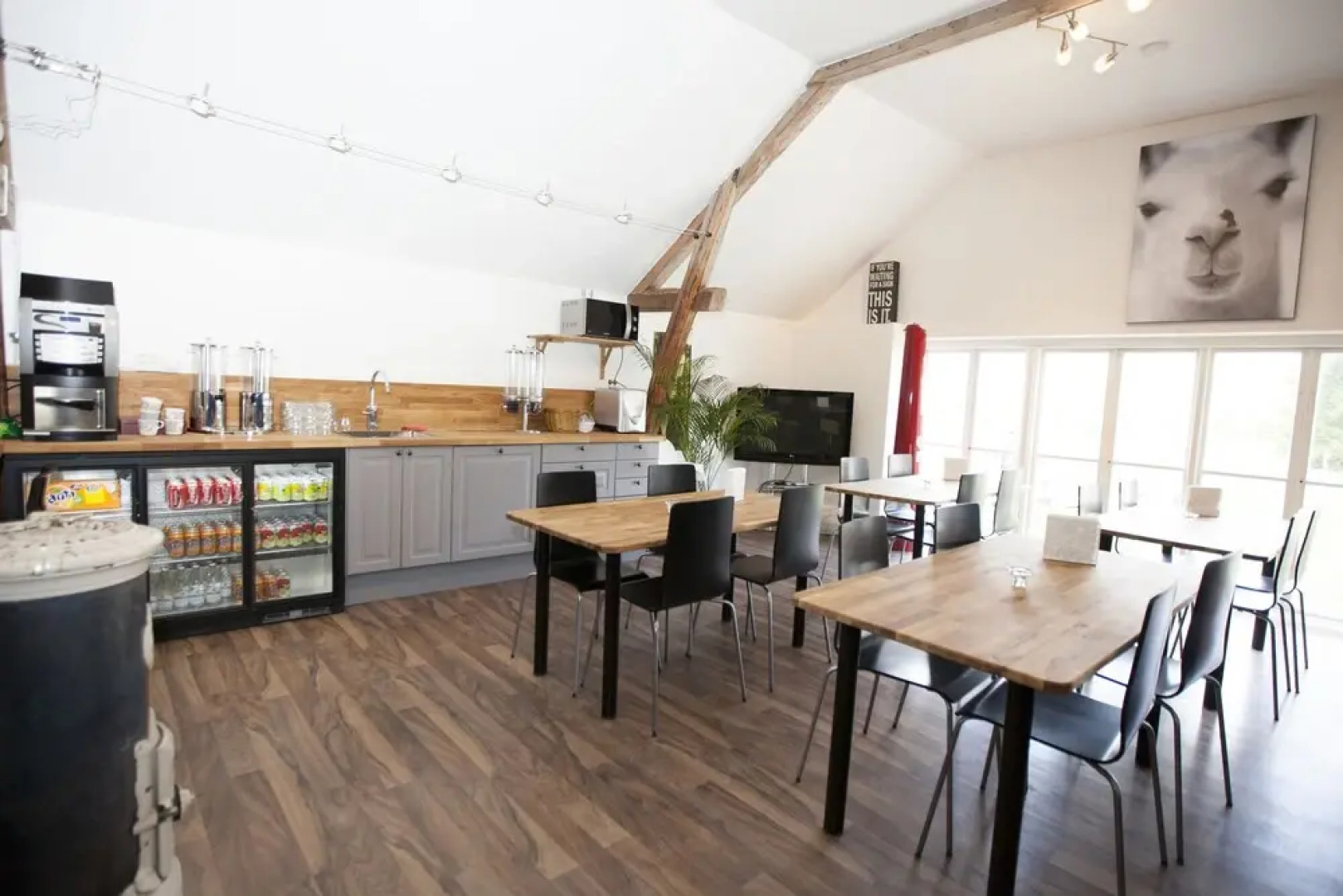 Norrängens Alpacka - Bed & Breakfast