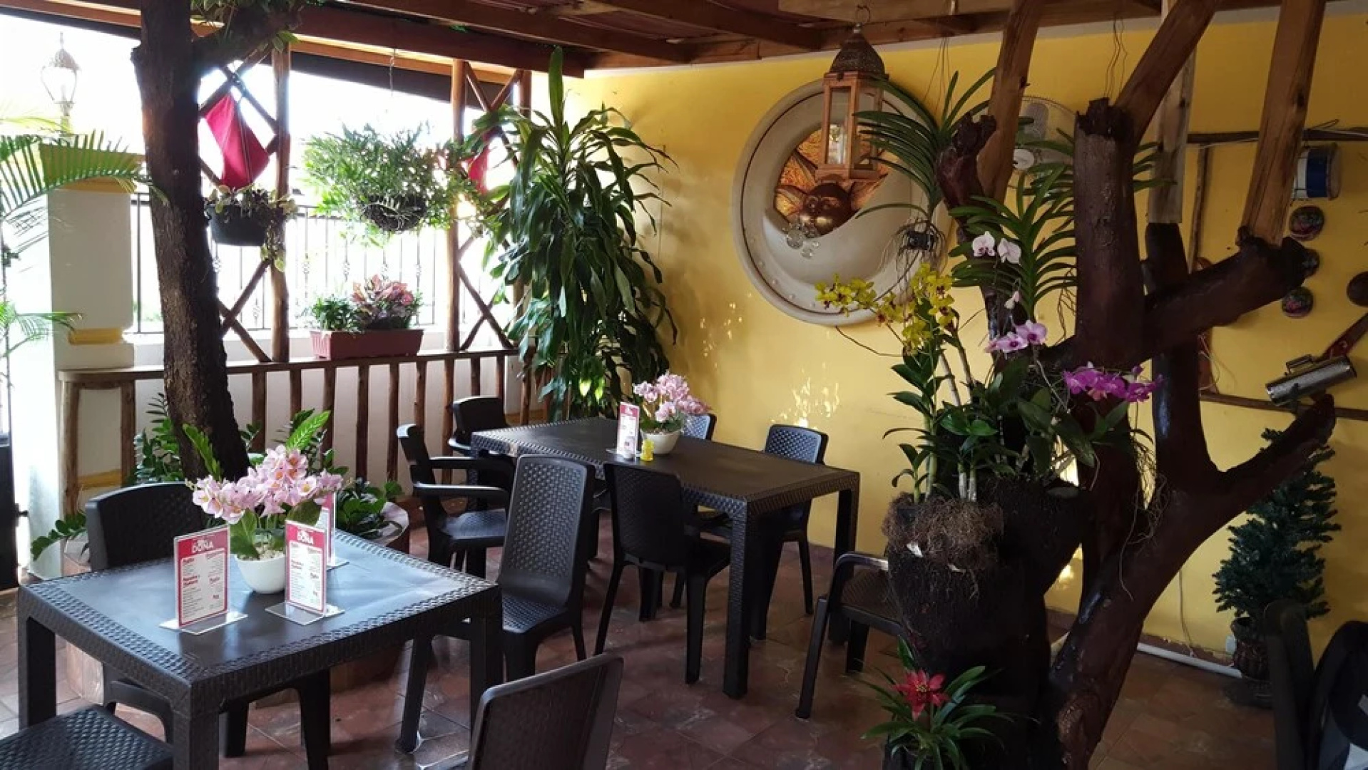 Hotel  Bella Savonesa