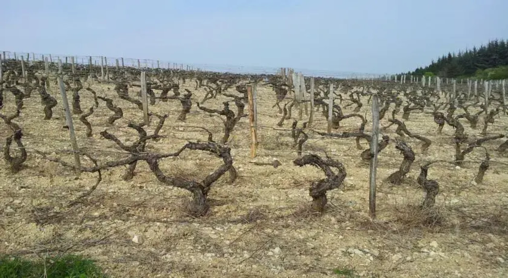 Hôtel Restaurant Le Bourgogne