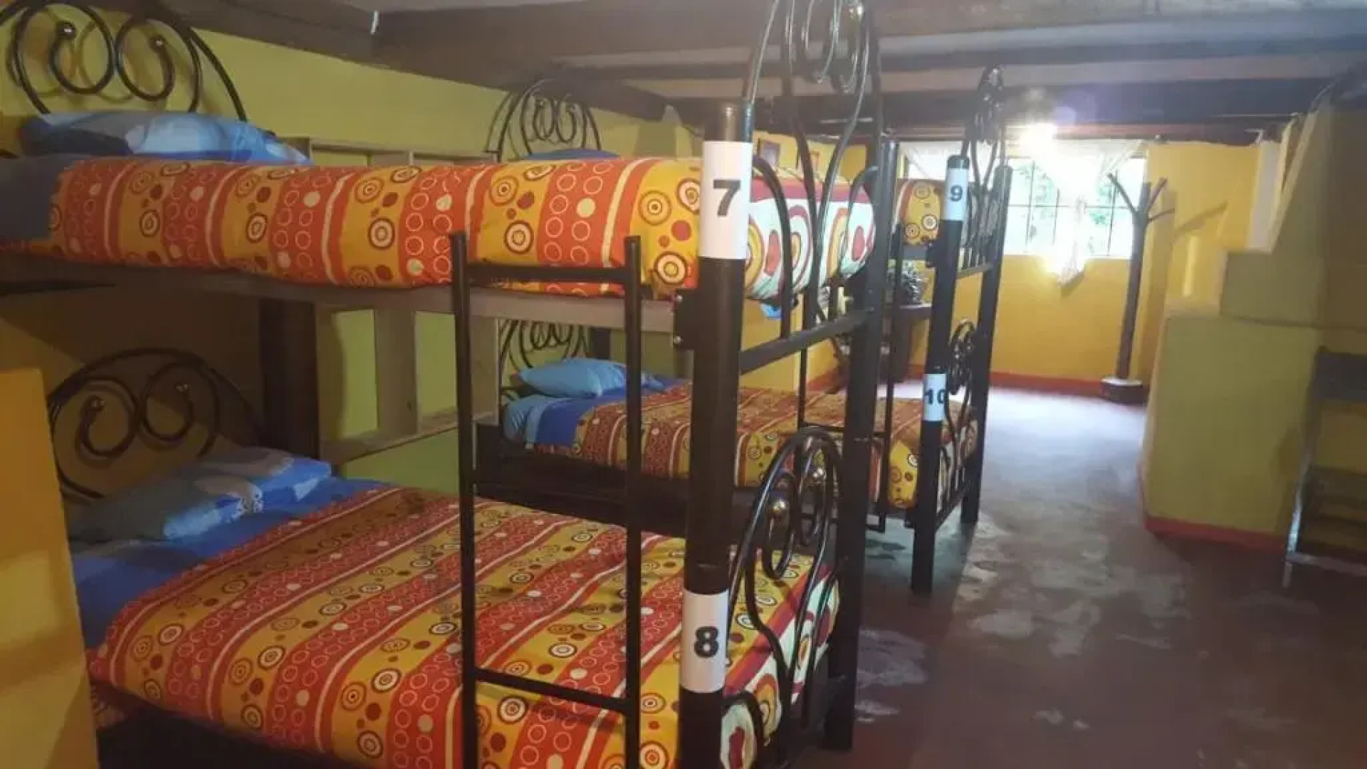 Altai Oasis Eco lodge