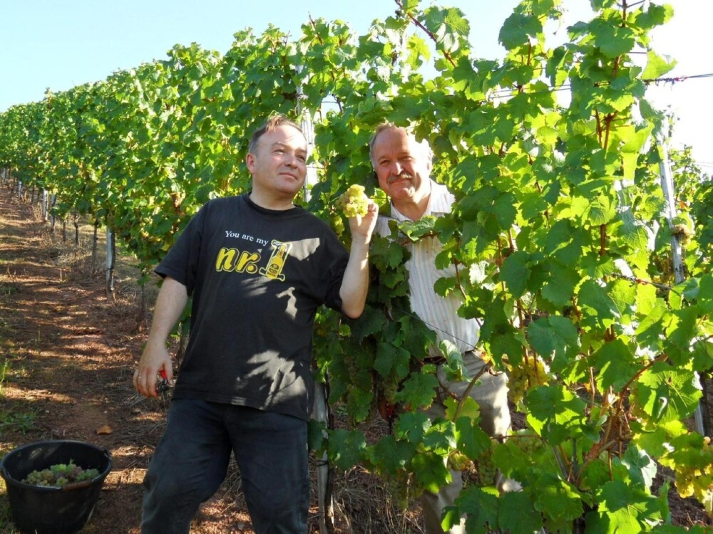 Weingut Gästezimmer Fröhliches Weinfass