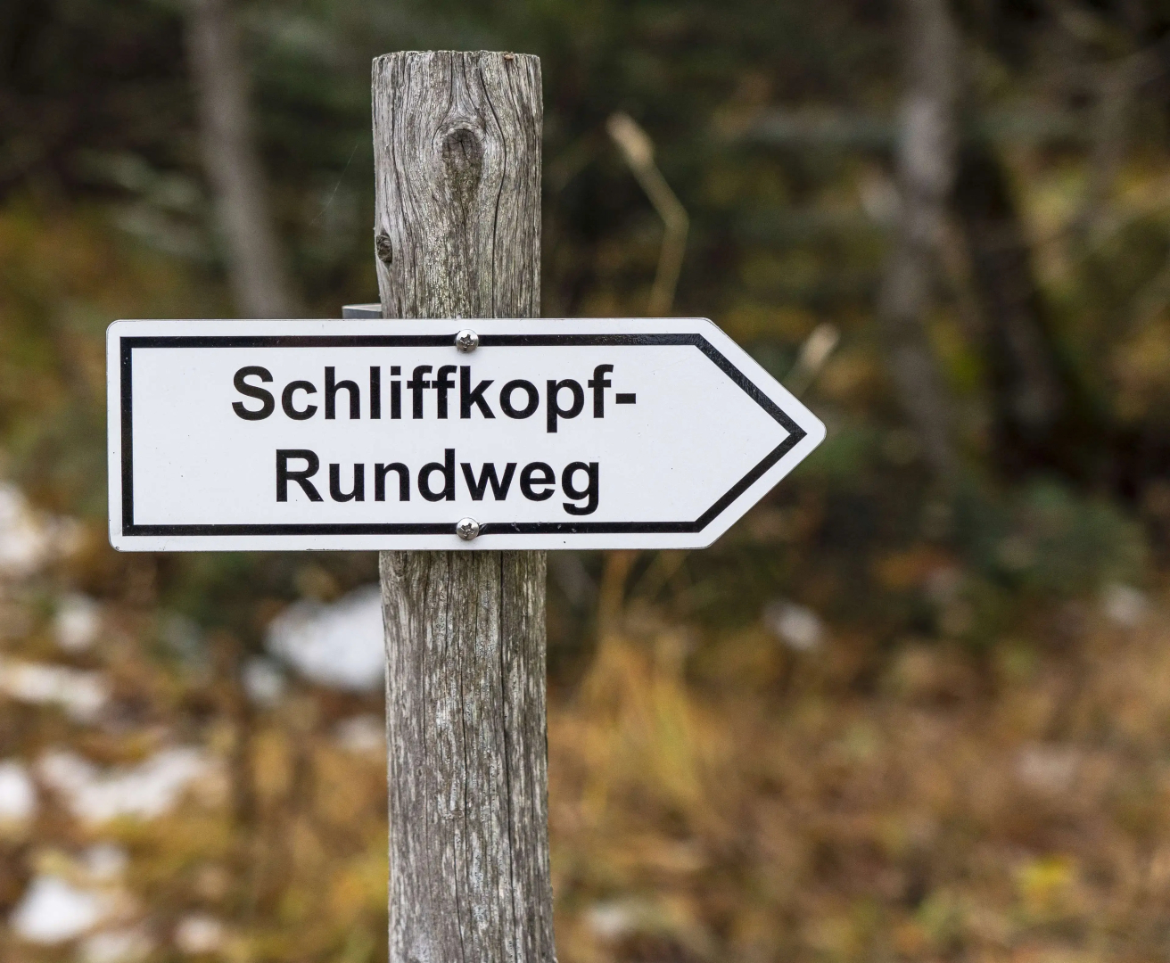 Wellness- & Nationalpark Hotel Schliffkopf Bwsc