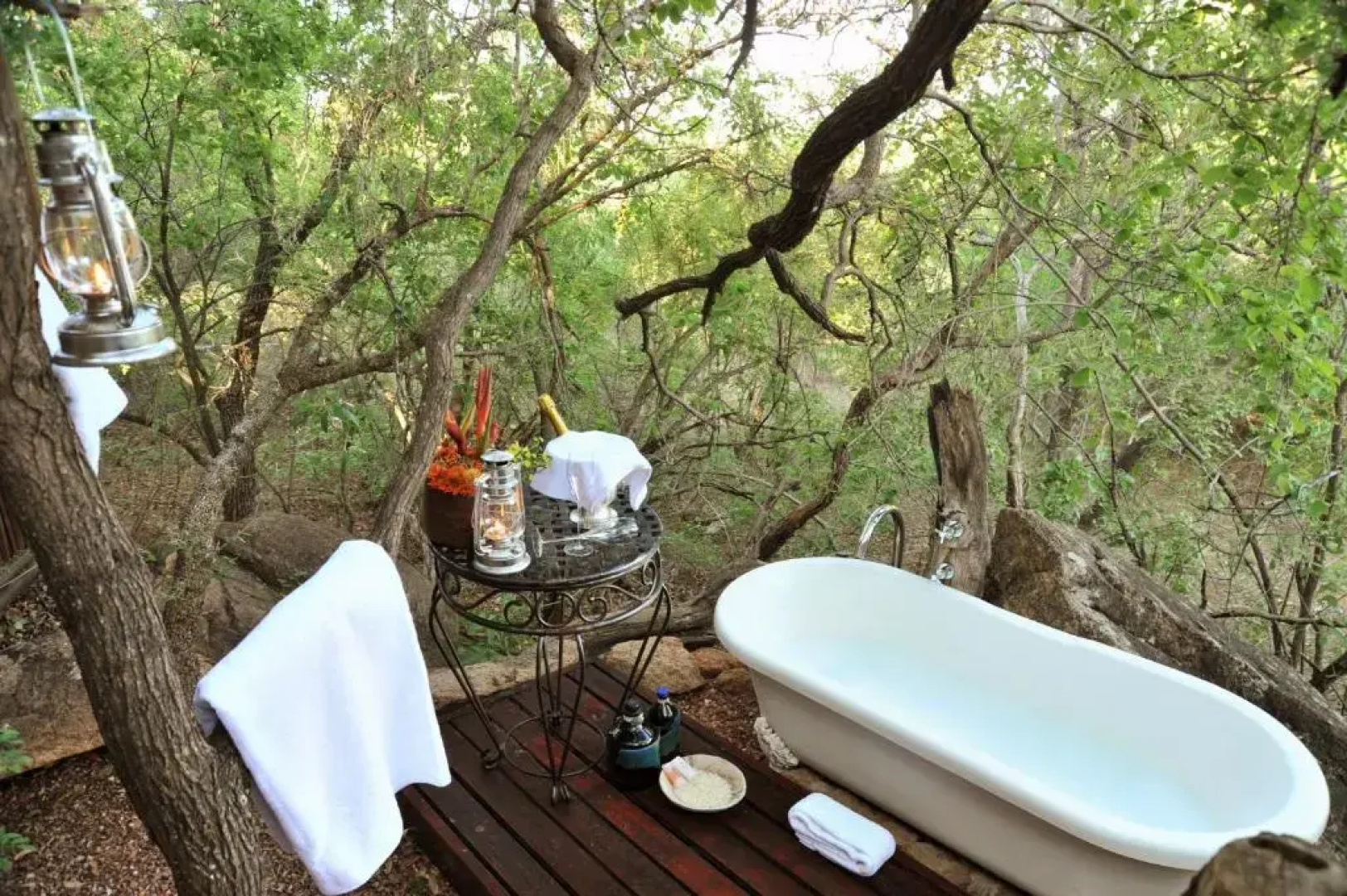 Wild & Free Game Lodge