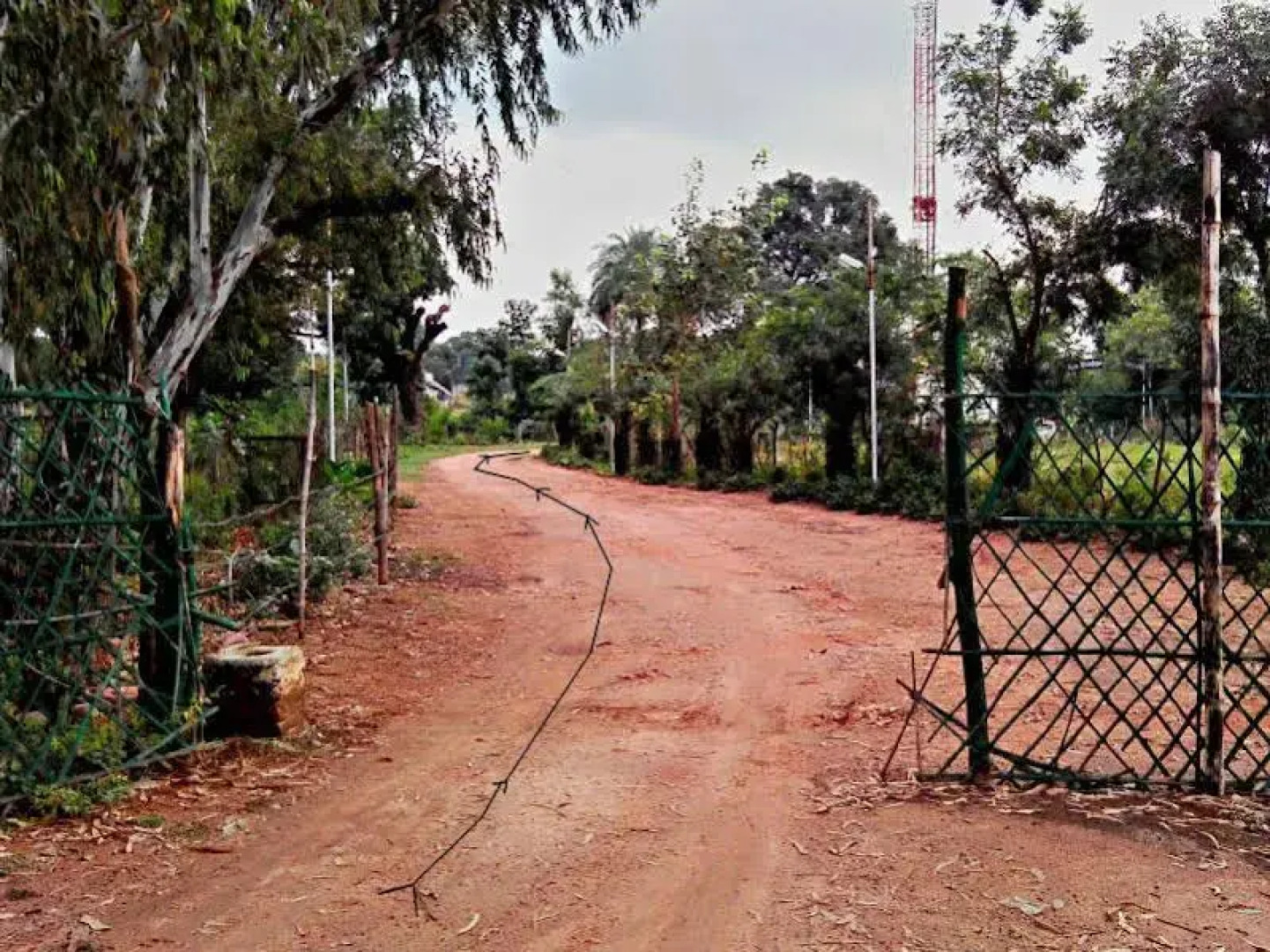 Shri Krishna Jungle Resort