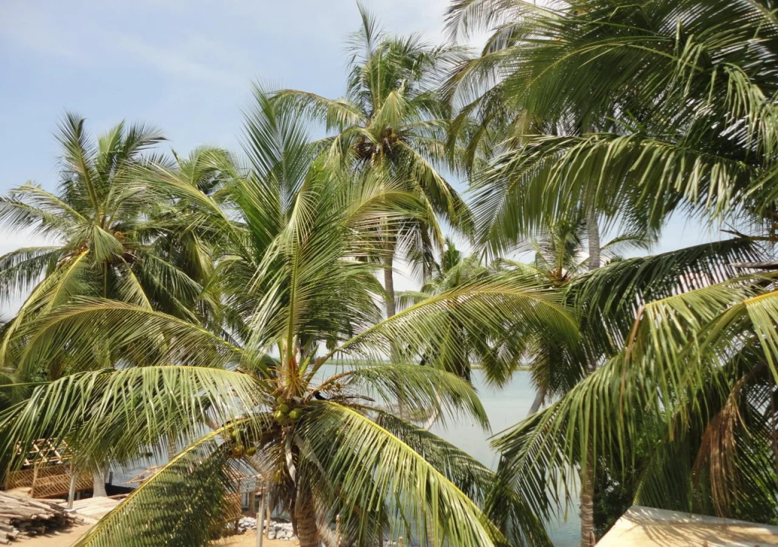 Sunnyfish Hotel & Resort