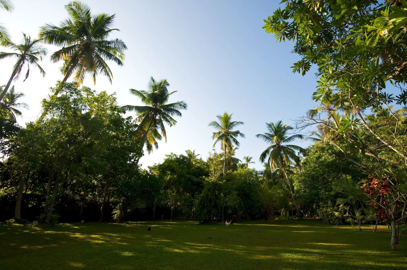 Villa Modarawaththa