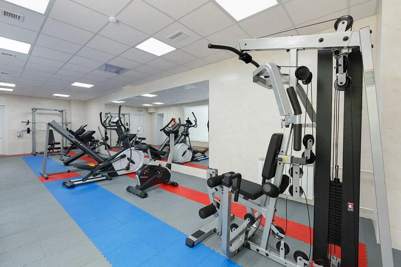 Кедровый бор