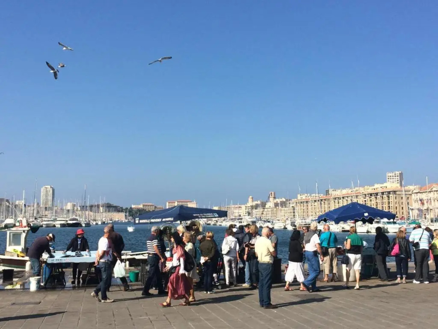 Résidence Néméa Marseille Timone