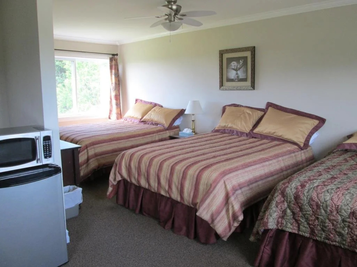 Scenic Motel Moncton