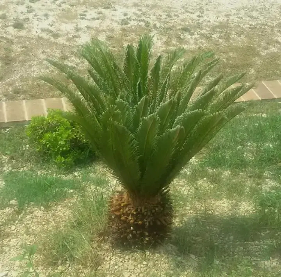 Agriturismo Isola Verde