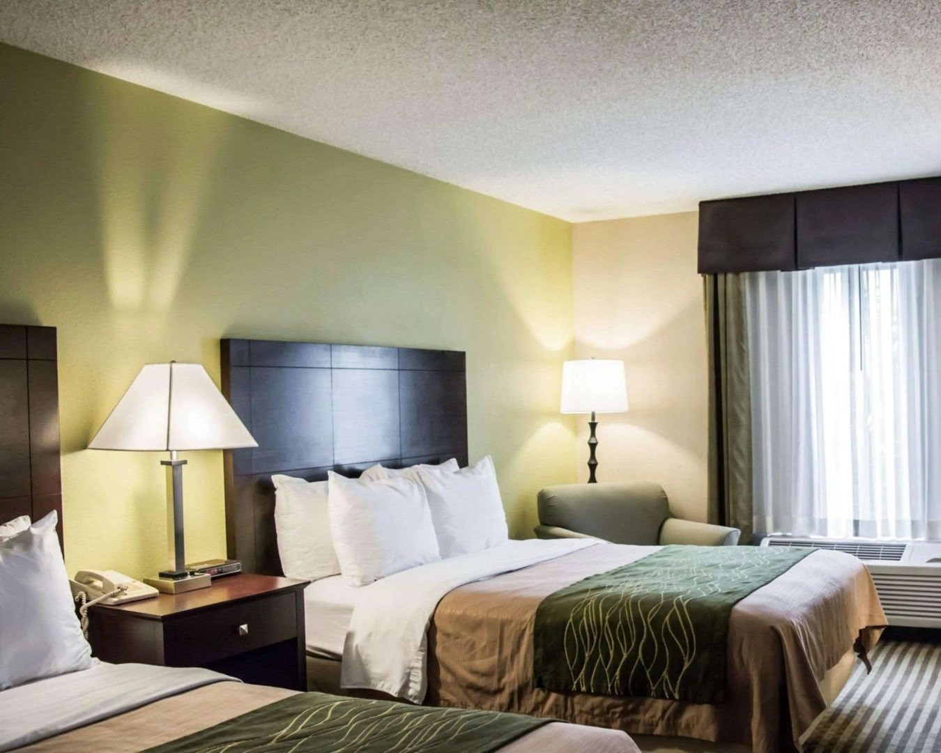 Comfort Inn & Suites St. Pete - Clearwater International Airport