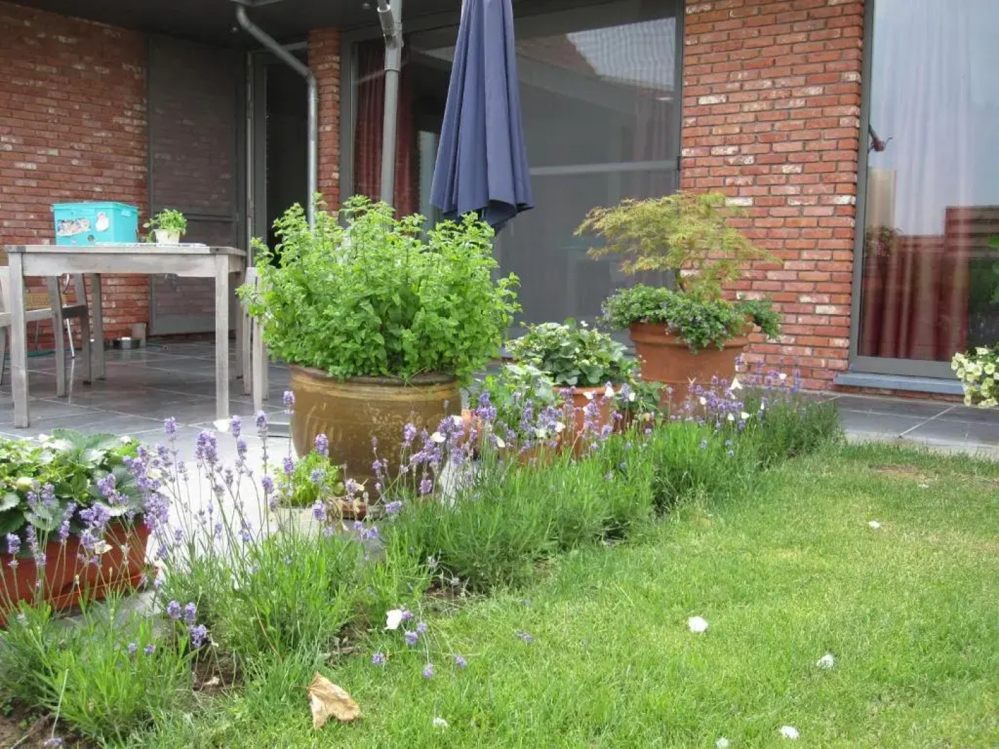 B&B Herberg Boerenhol