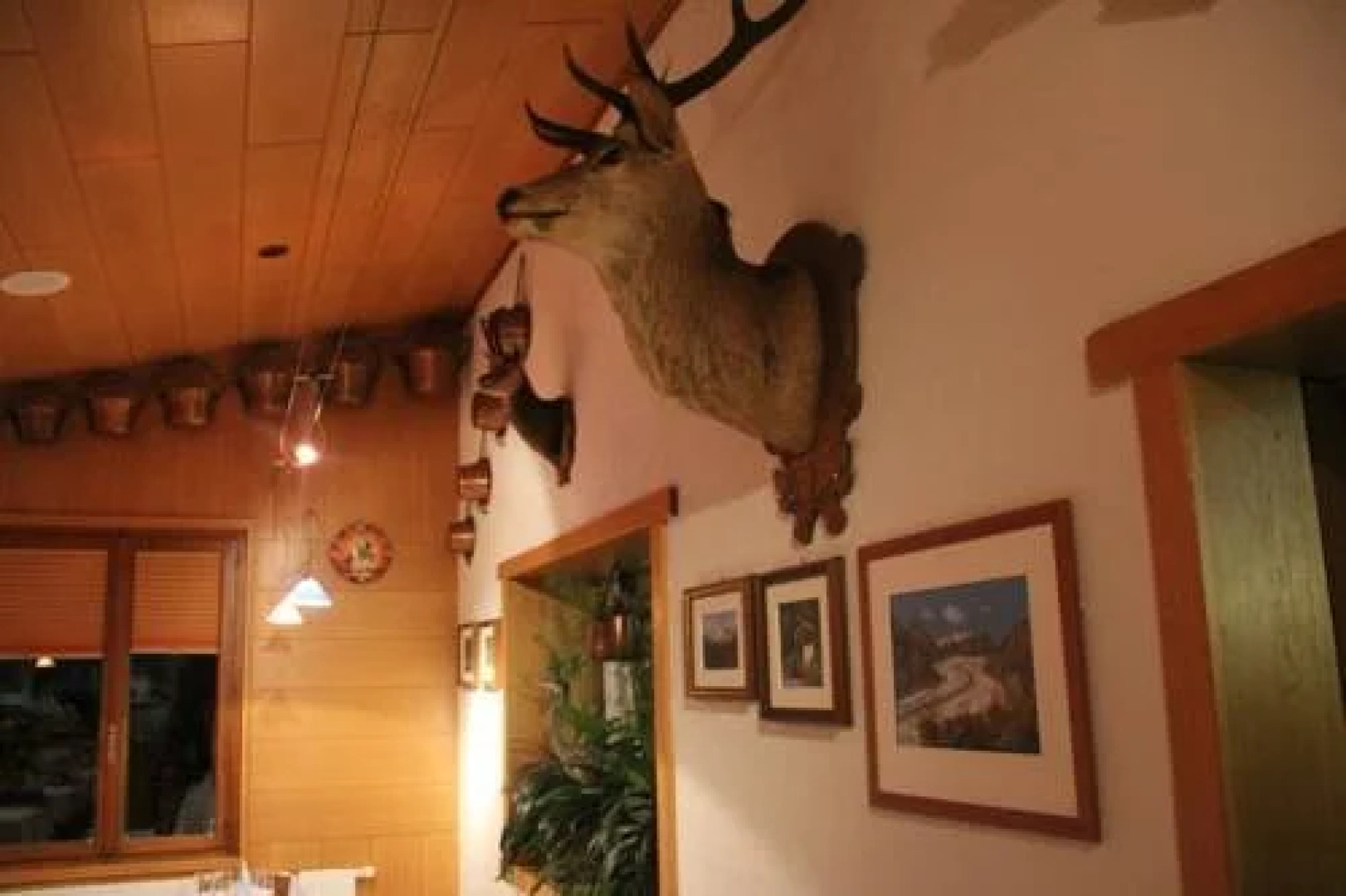 Ristorante Pizzeria La Campagnola