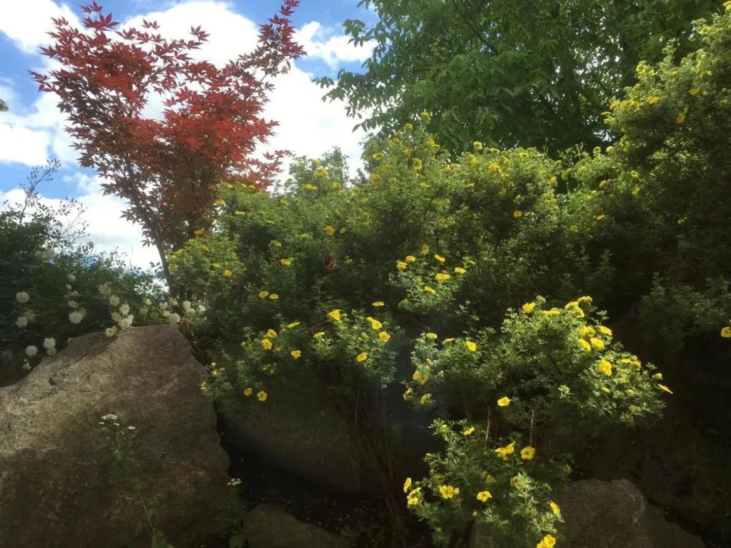 Freundliches Studio bei Böblingen