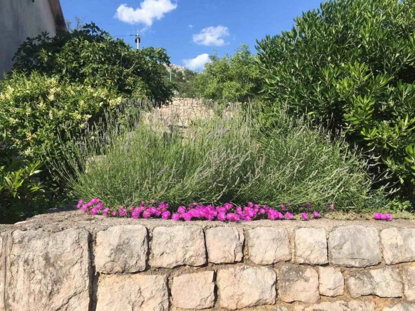 Holiday Home Mare - Monti