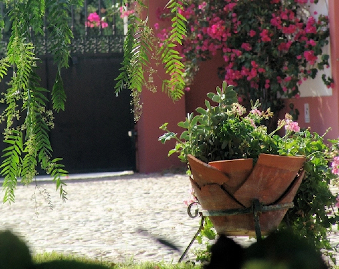 Pátio da Avó Faustina - Agroturismo