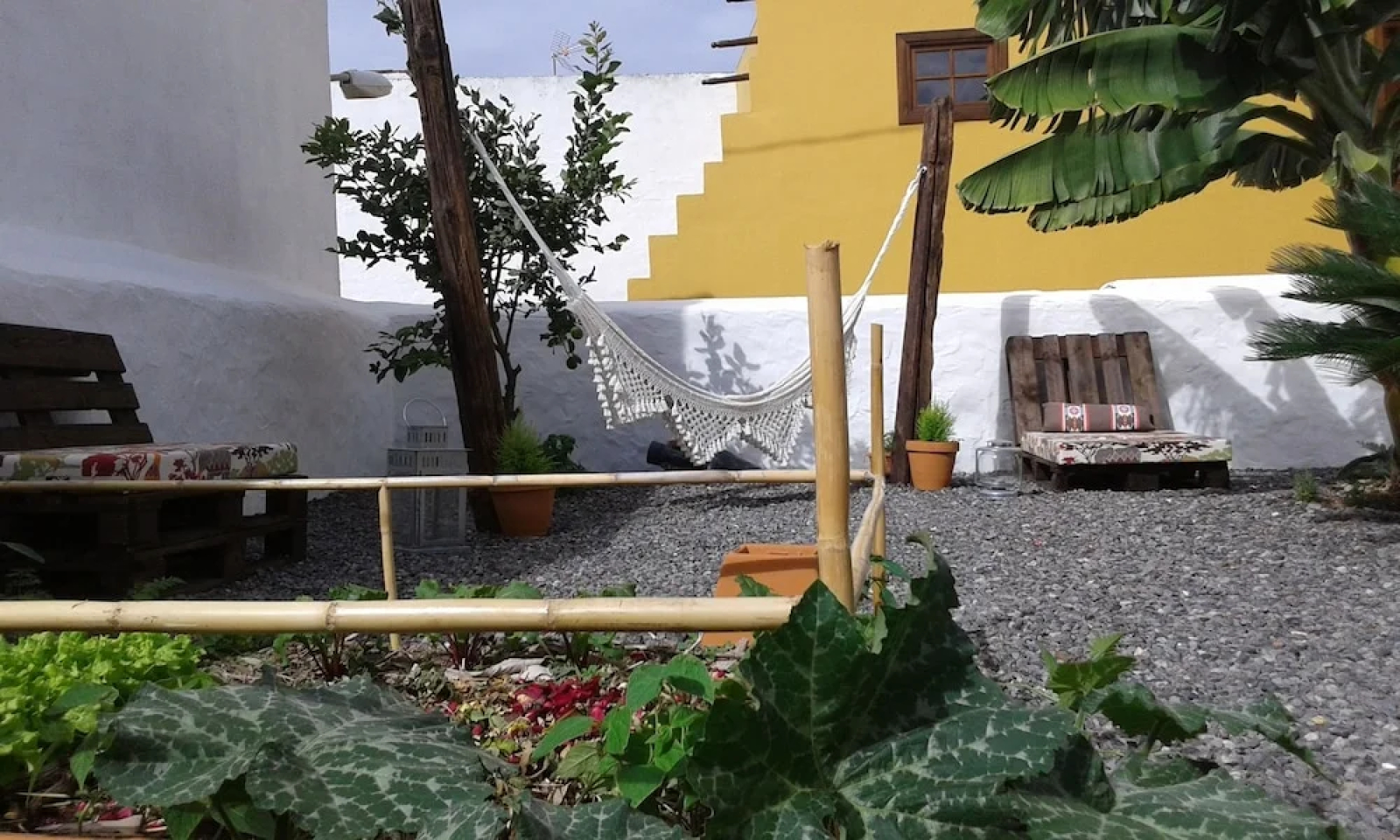 B&B Buenavista del Norte