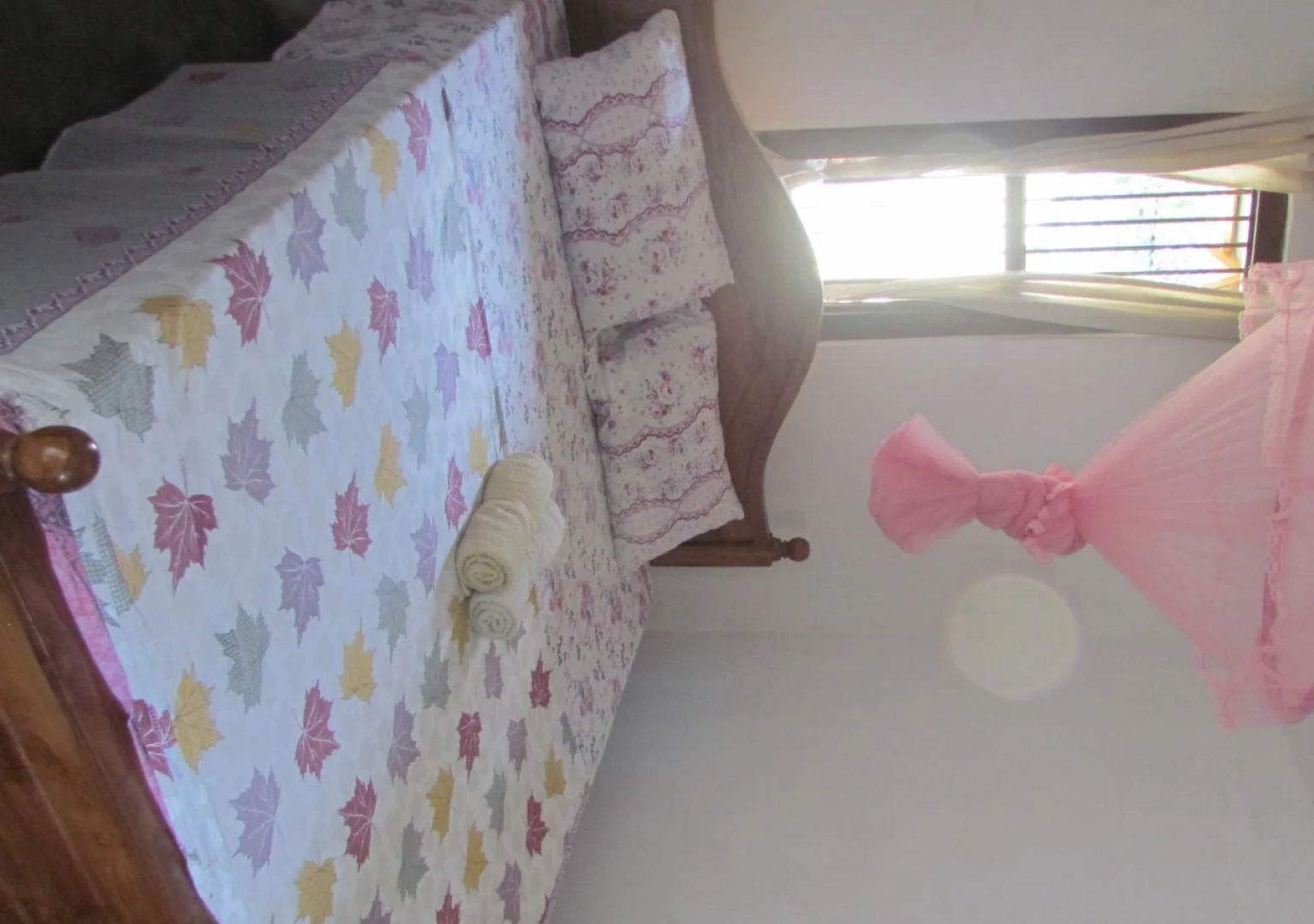 Shoba Traveller's Tree - Galle Fort