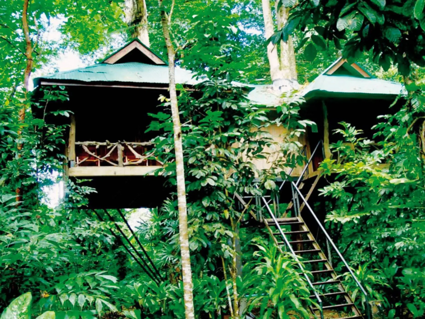 Khao Sok Nature Resort