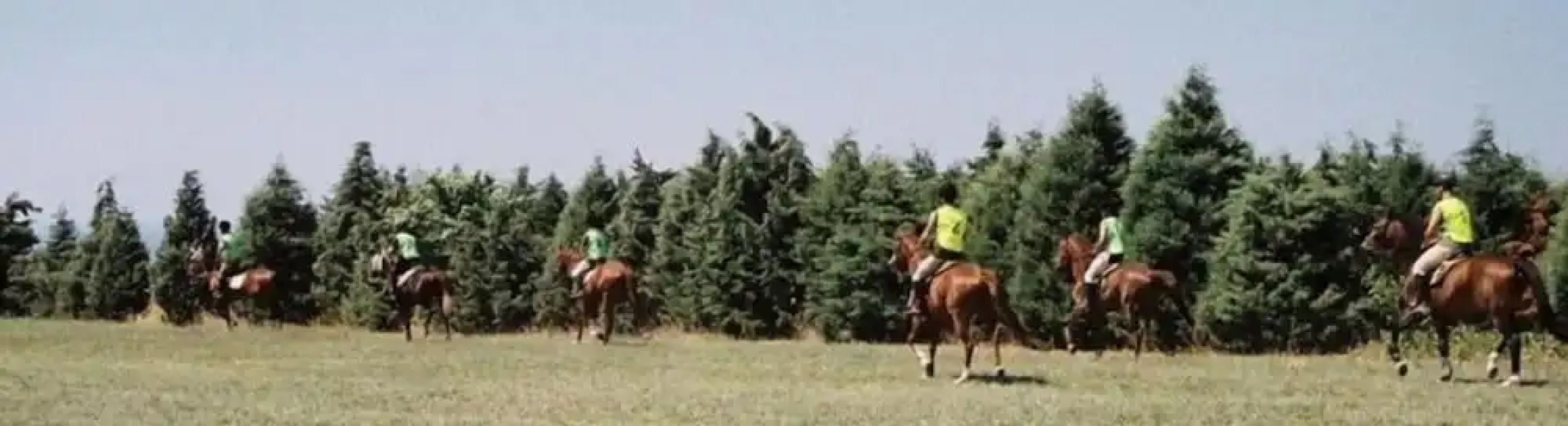 ERKANLI COUNTRY Resort , Spa & Riding Club - Special Class