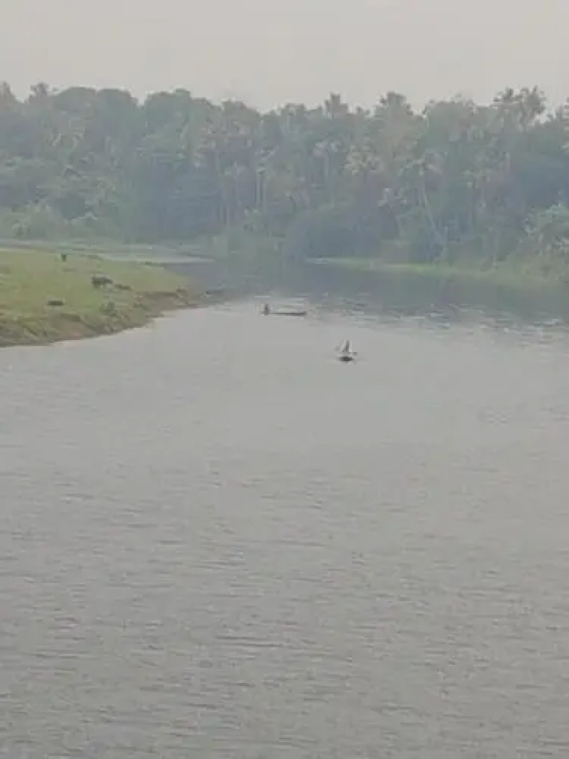 The Isle By Area 707