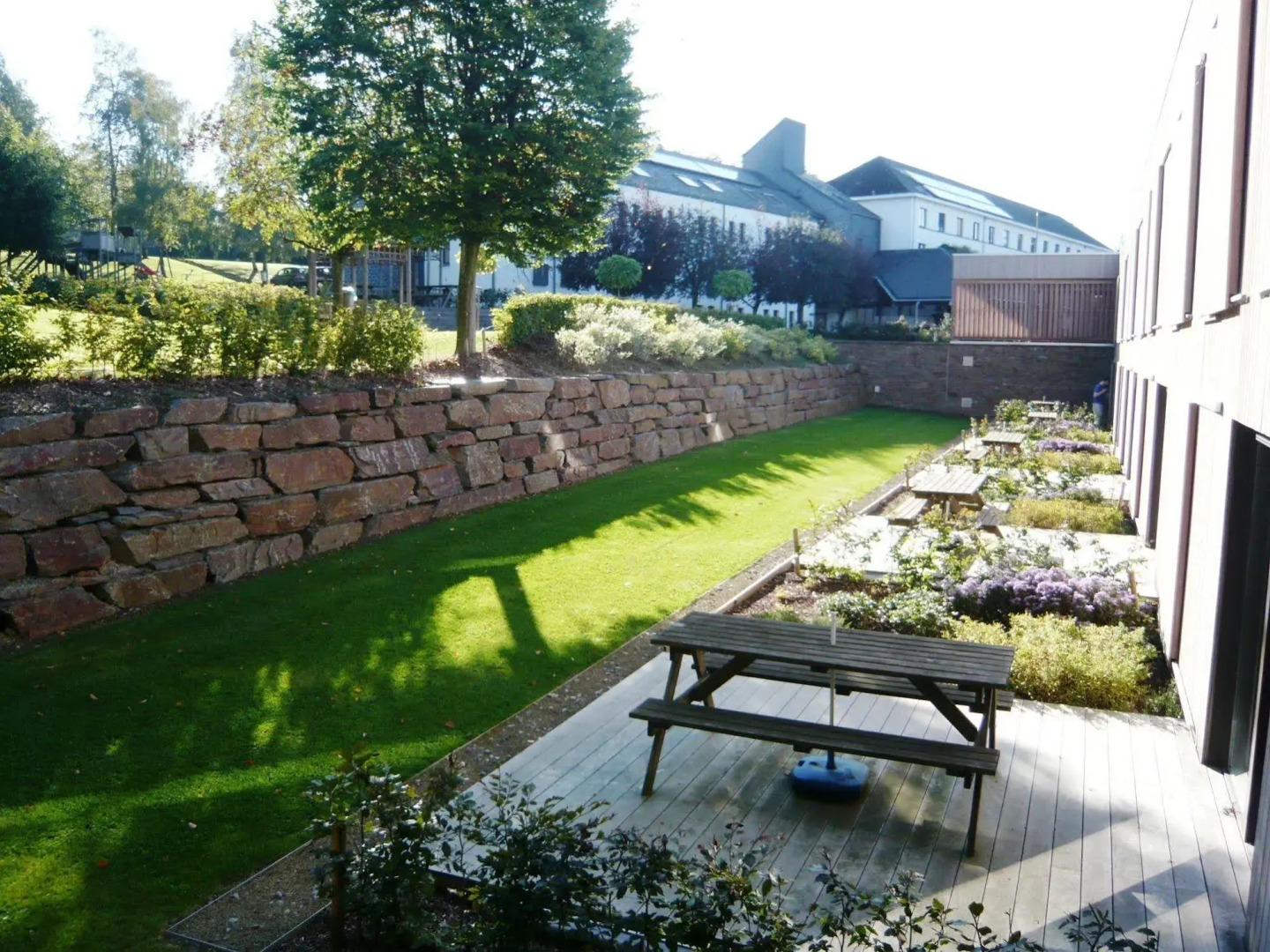 Corsendonk Sol Cress