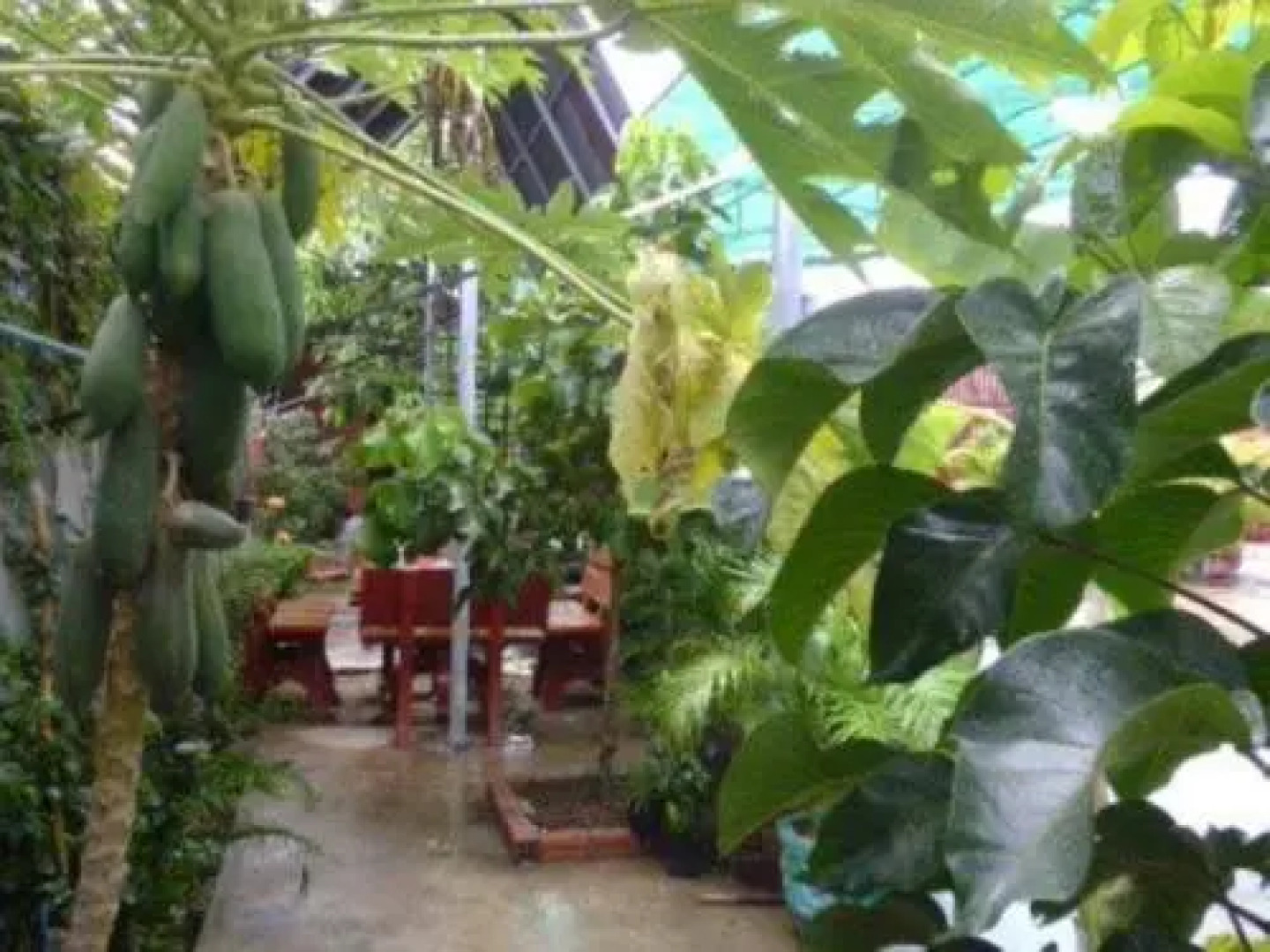 Mitapheap Guesthouse