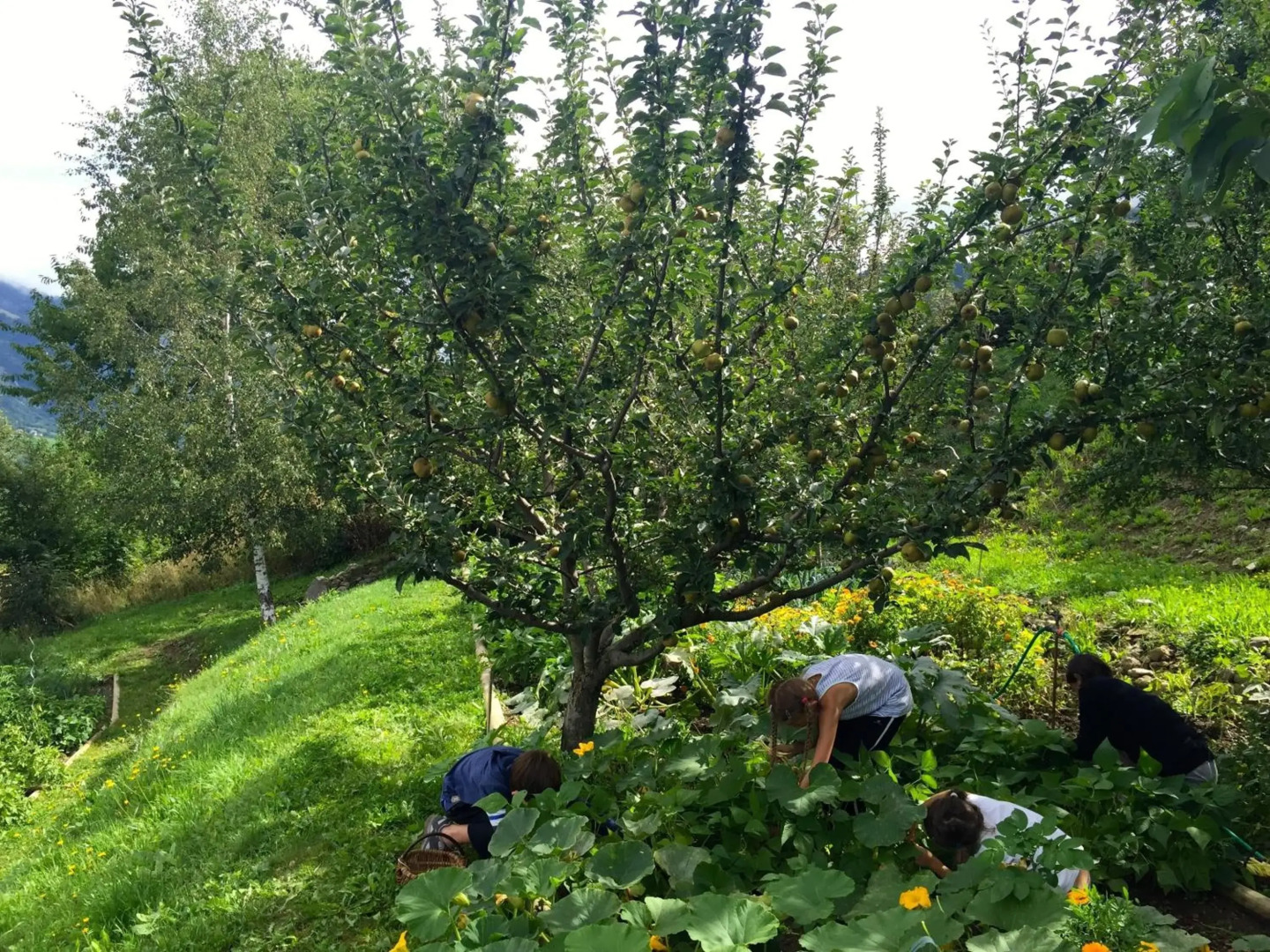 "La Coustille" Chambres et Table d'Hôtes