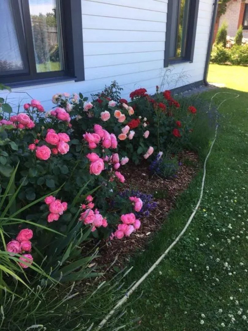 privatmaja-studiodzivoklis