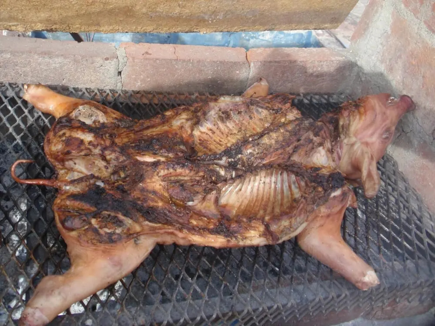 Hostel Joven Casa Reggae