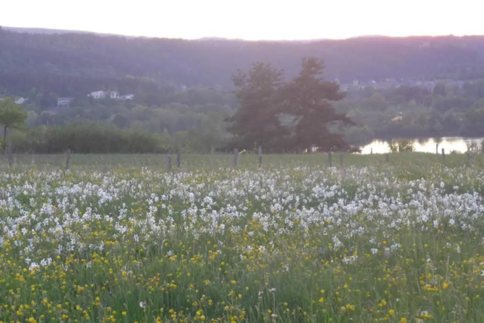 Gîte La Maison Toute de Travers