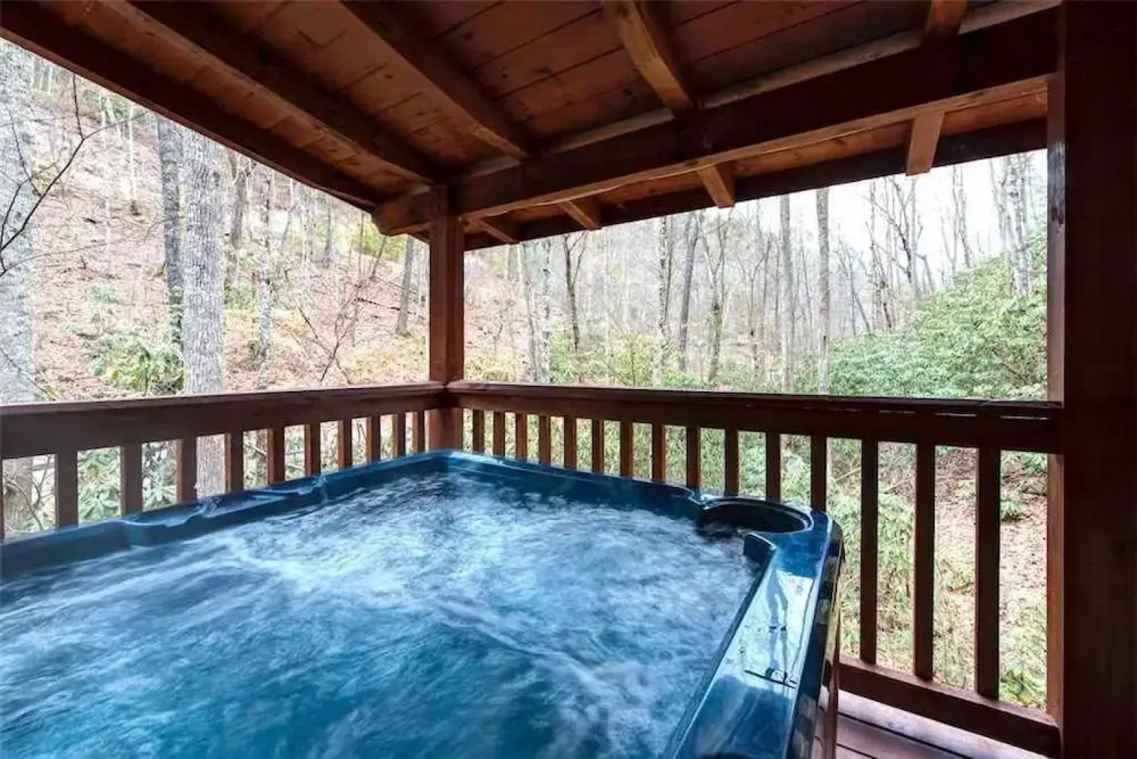 Wild at Heart 1 Bedroom Home with Hot Tub