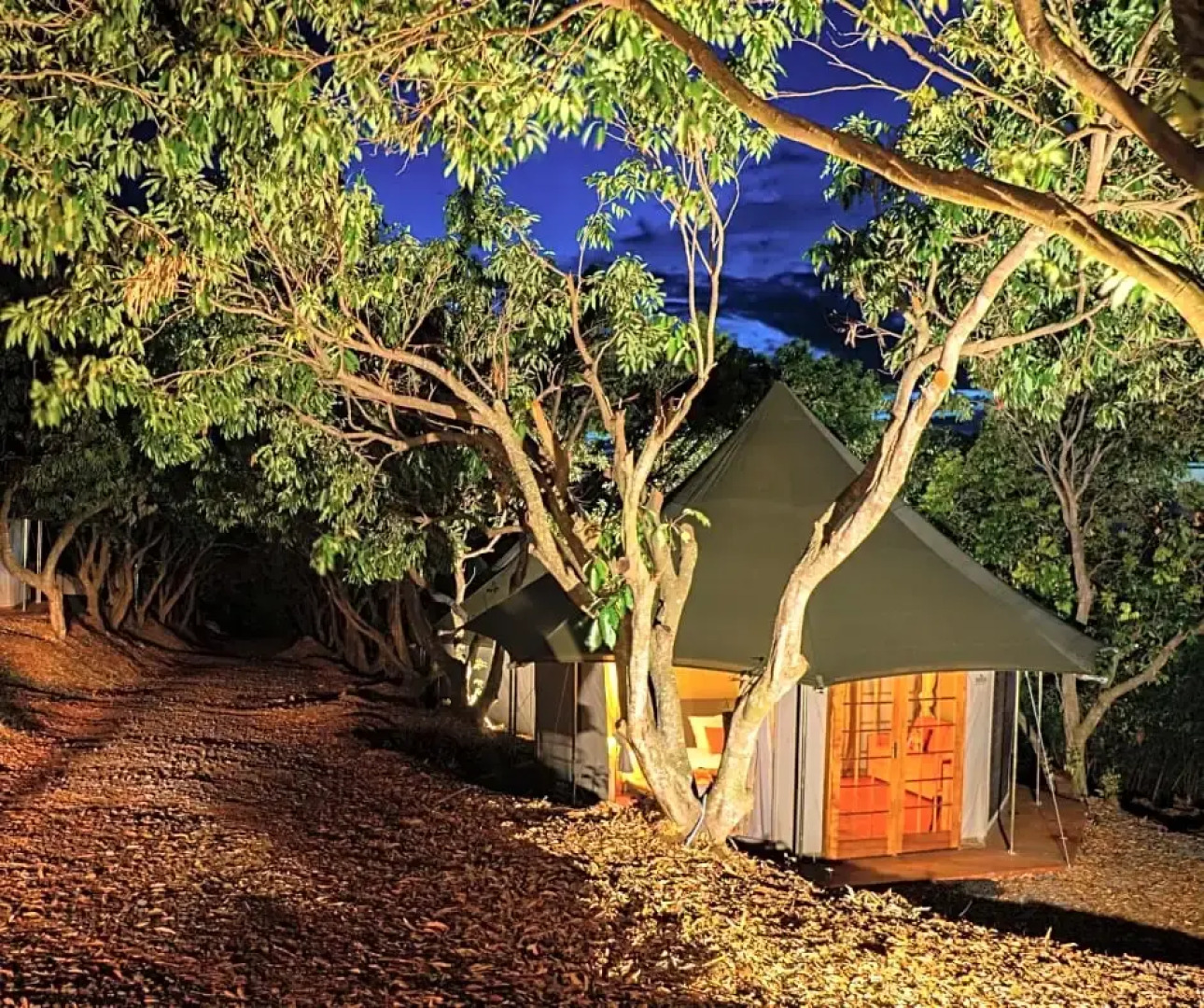 Gadiamb City- Glamping