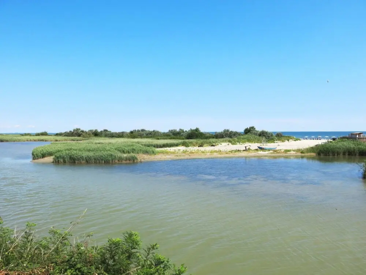 Azienda Agricola Forzello San Basilio