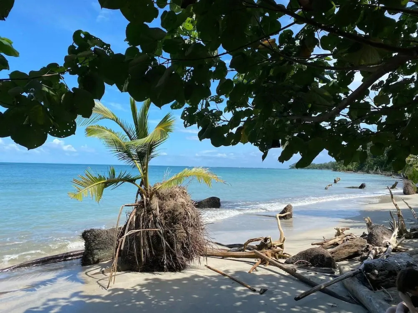 Le Colibri Rouge Hotel Cabinas