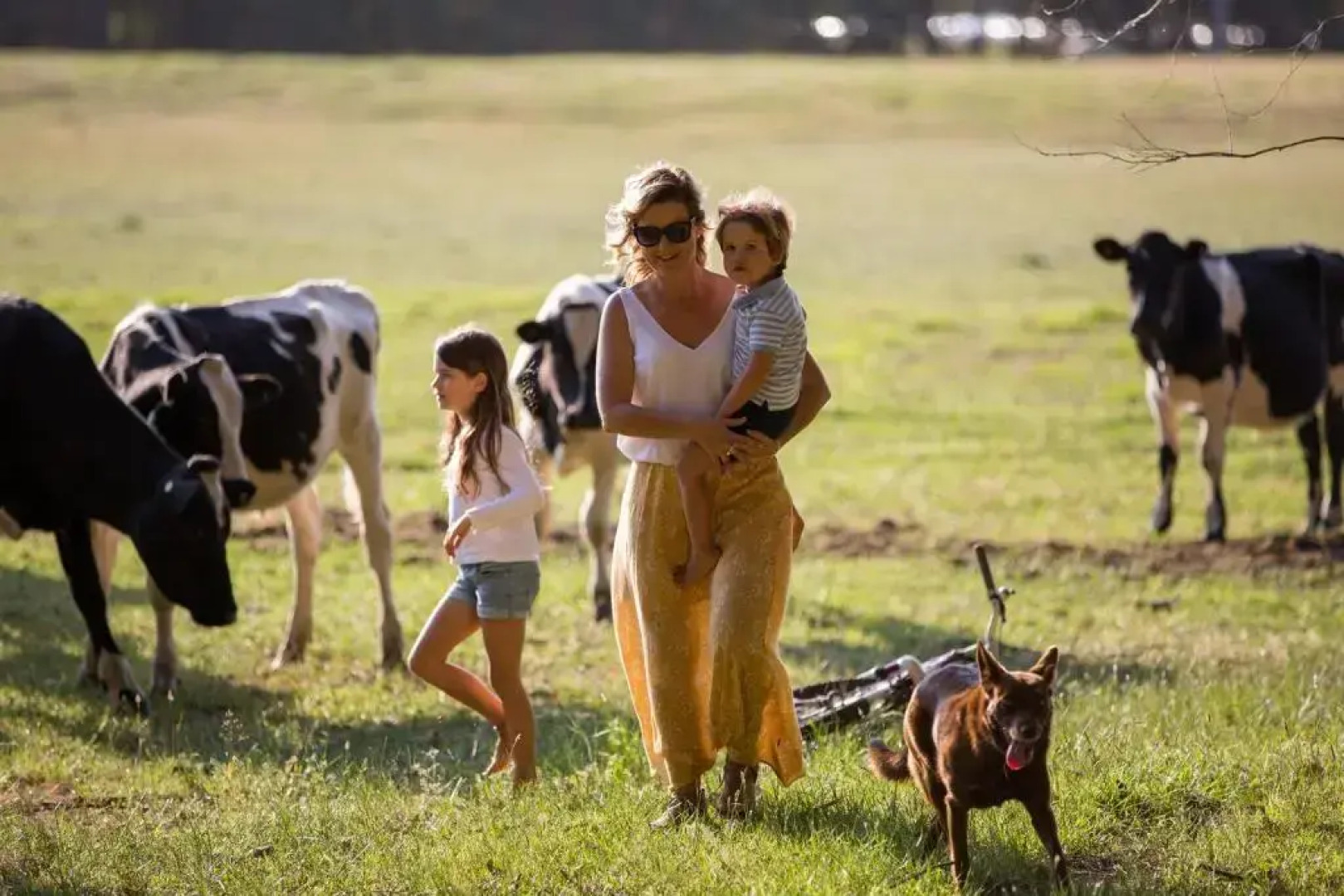 Redgate Forest Retreat