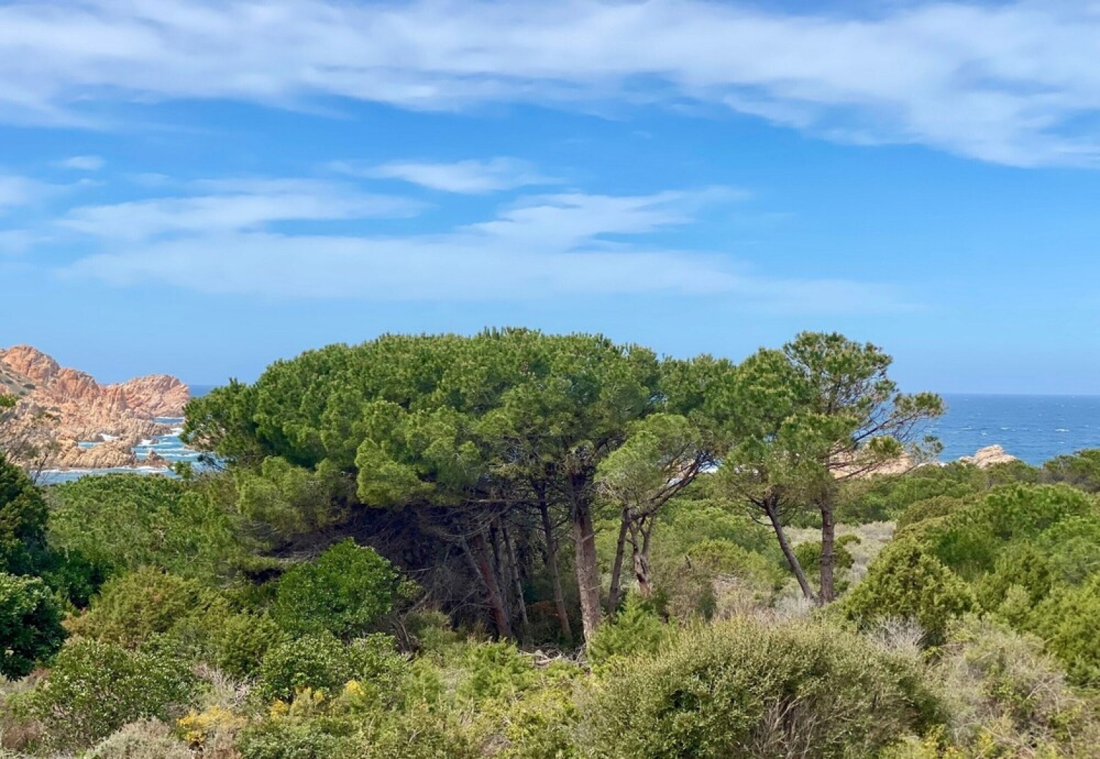 Paradiso Pasquini 1007 500 Mt From Sea