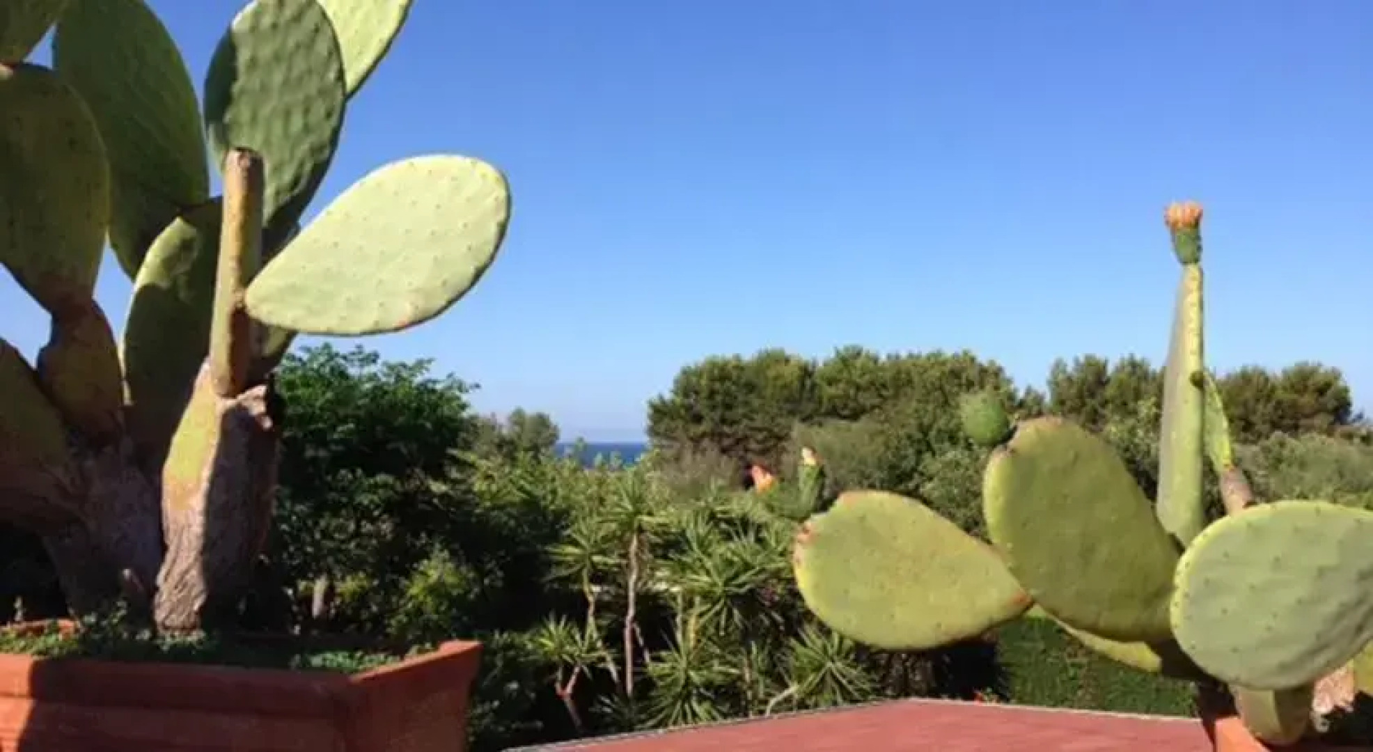 Salento Living Seaside