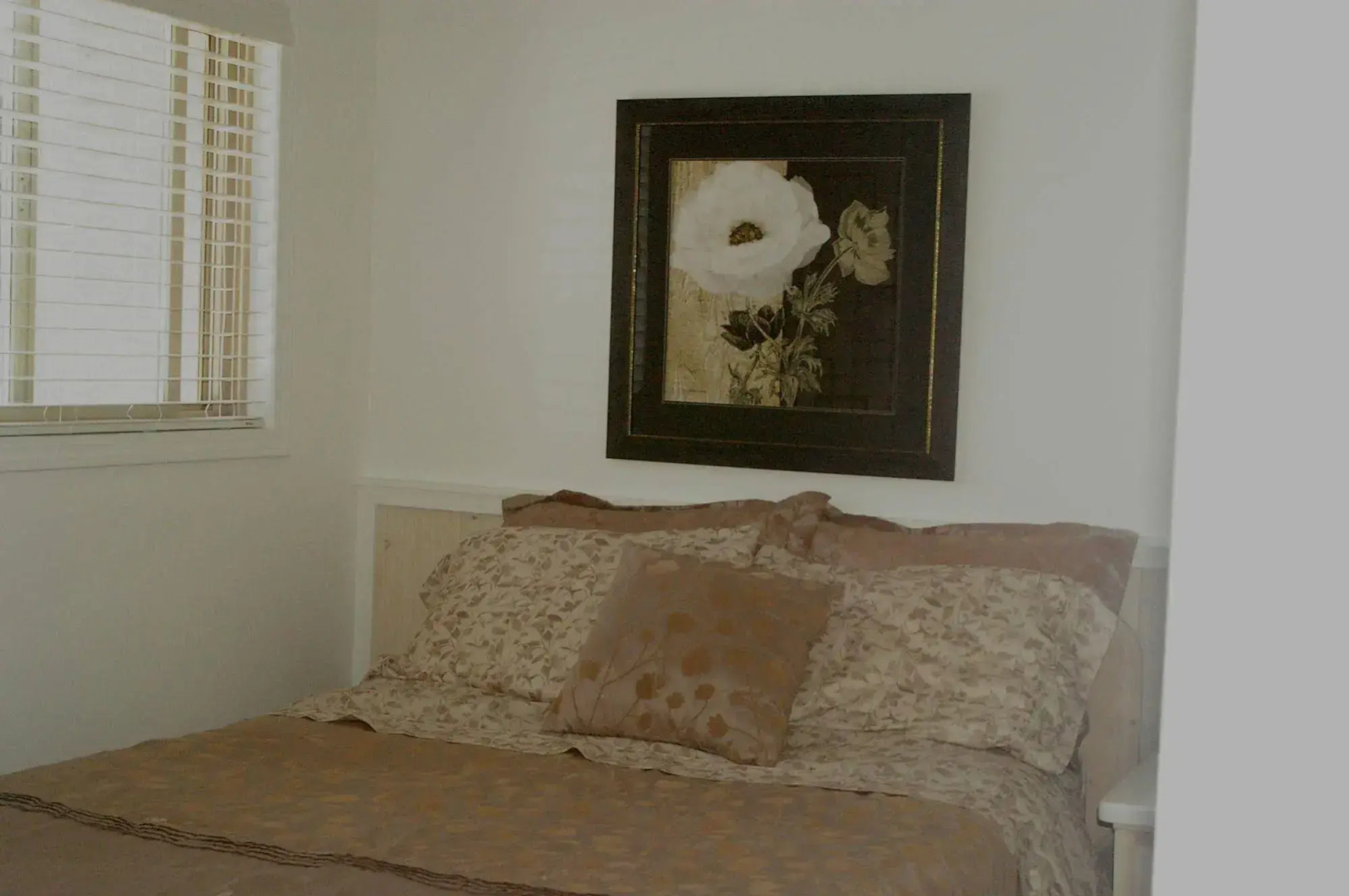 Shady Shores Beach Resort