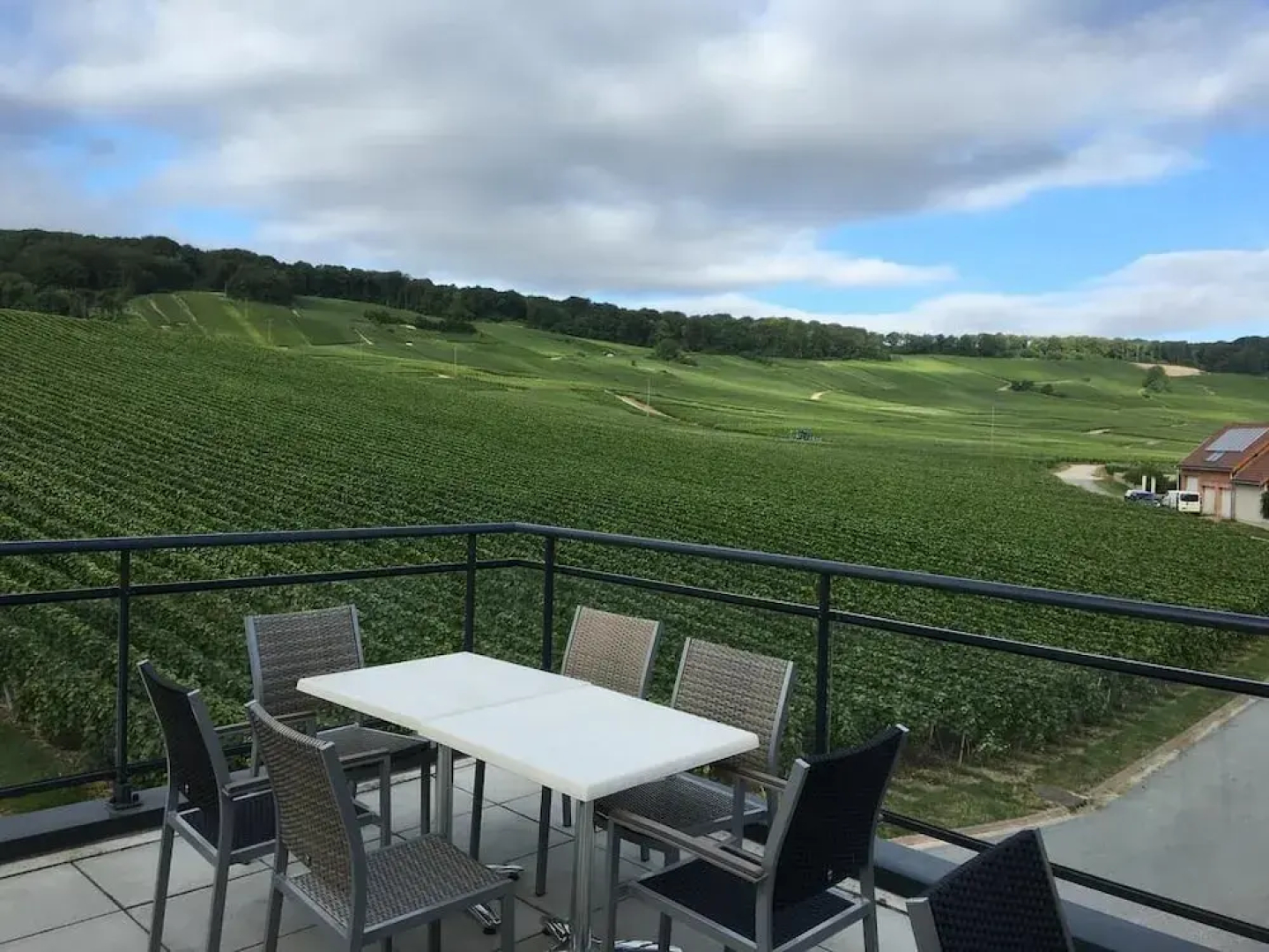 Dans Les Vignes