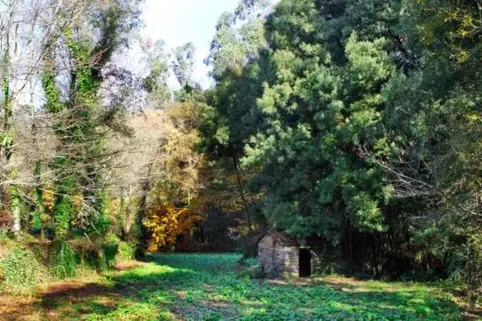 Quinta de Mourães Casa dos Rododendros