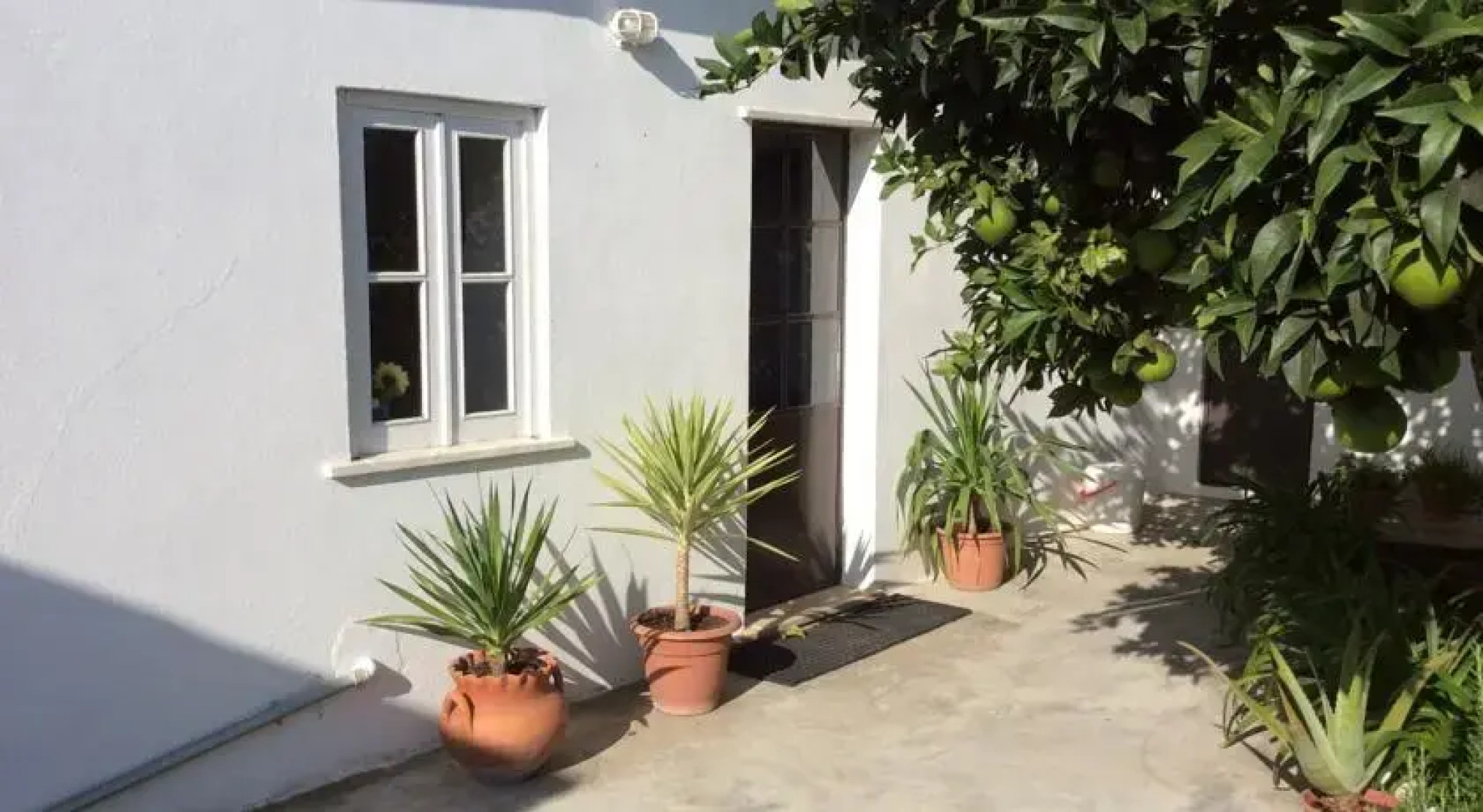 Little Cottage Santarém